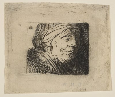 Cabeza de una anciana de Jan Georg van Vliet