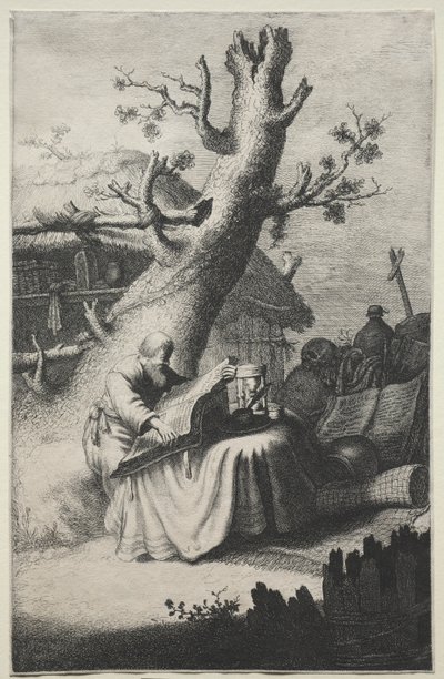 San Jerónimo de Jan Georg van Vliet