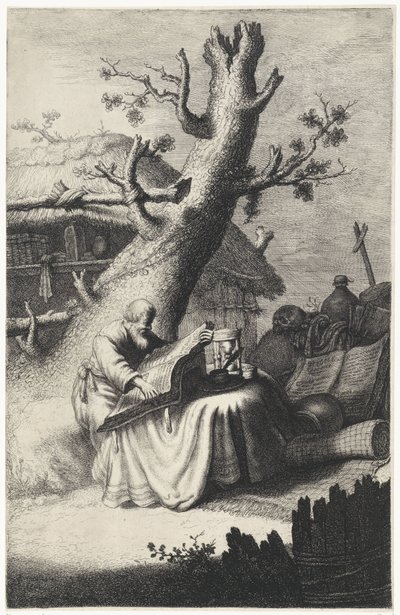 H. Hieronymus leyendo bajo un árbol de Jan Gillisz. van Vliet