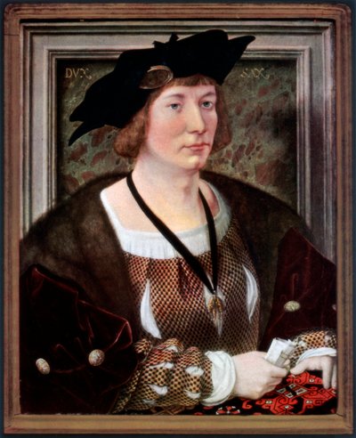 Retrato de Hendrik III, Conde de Nassau-Breda, c. 1516-1517, 1927 de Jan Gossaert