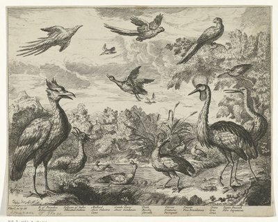 Diferentes pájaros en un paisaje. de Jan Griffier (I) (copy after)