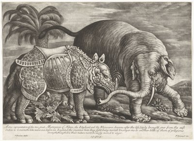 Olifant en Neushoorn Una verdadera representación de las dos grandes obras maestras de la naturaleza, el elefante y el rinoceronte (título sobre el objeto) de Jan Griffier (I)
