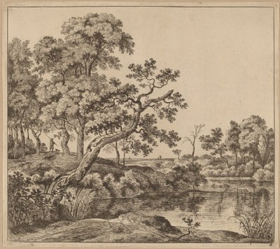 Paisaje con un Árbol Doblado de Jan Hackaert