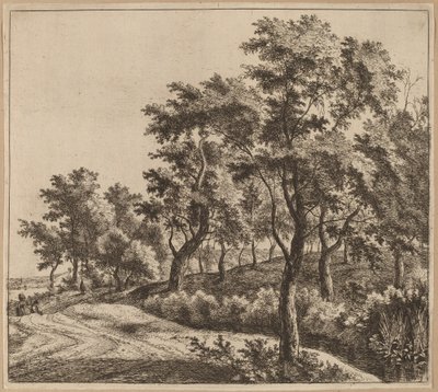 Paisaje con un arroyo de Jan Hackaert