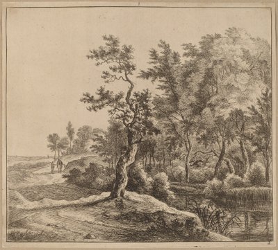 Paisaje con un camino serpenteante de Jan Hackaert