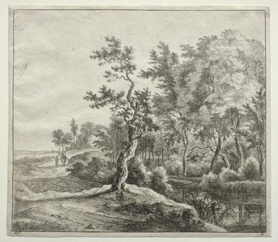 La carretera serpentina de Jan Hackaert