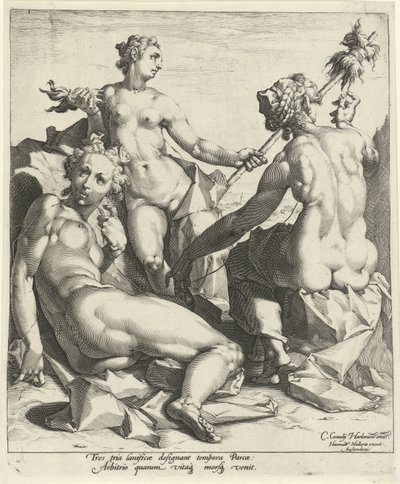tres destinos de Jan Harmensz. Muller