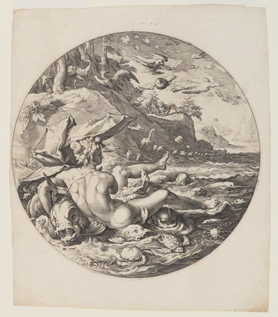 El Quinto Día, lámina 6, de La Creación del Mundo de Jan Harmensz. Muller