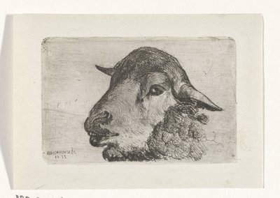 cabeza de oveja de Jan Heppener