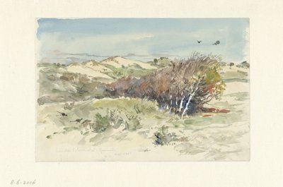 Paisaje de dunas entre Bloemendaal e IJmuiden de Jan Hoynck van Papendrecht