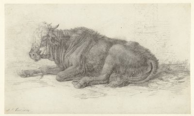 Vaca reclinada de Jan Joost van Cossiau