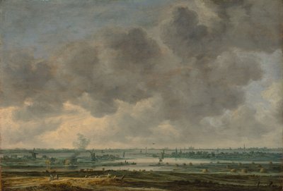 Vista de Haarlem y el Haarlemmer Meer, 1646 de Jan Josephsz van Goyen