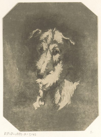 cabeza de galgo de Jan Karel Jacob de Jonge