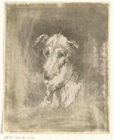cabeza de galgo de Jan Karel Jacob de Jonge
