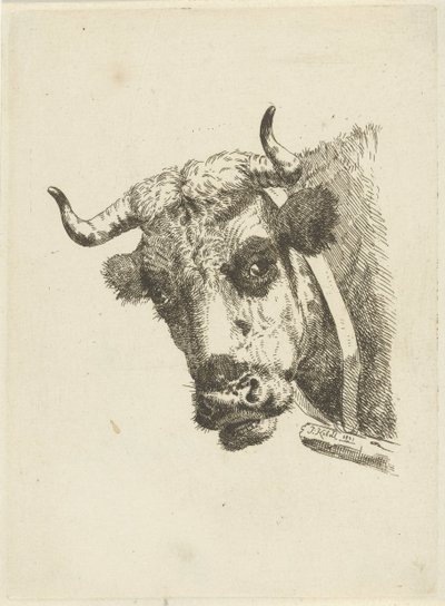 cabeza de vaca de Jan Kobell (II)
