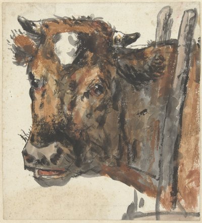 Cabeza de vaca de Jan Kobell (II)
