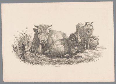 Vaca, carnero y dos ovejas Beesten Studien por J. Kobell después de Paul Potter Nr. 1 (título de la serie) de Jan Kobell (III)
