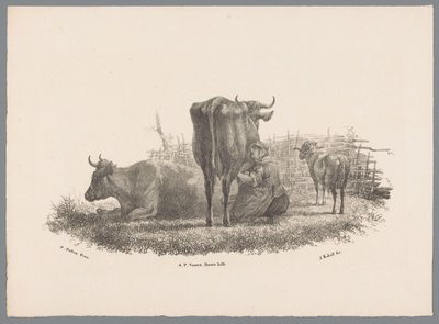 La esposa del granjero ordeñando, dos vacas y un carnero Beesten Studien por J. Kobell después de Paul Potter Nr. 1 (título de la serie) de Jan Kobell (III)