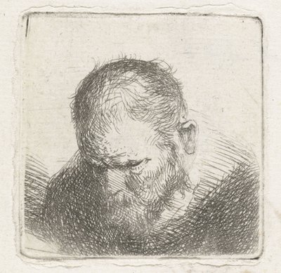 hombre con barba de Jan Lievens (possibly)