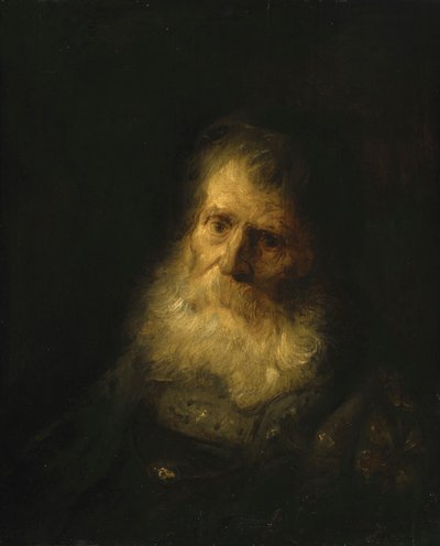 A Tronie: La cabeza y los hombros de un viejo barbudo de Jan Lievens
