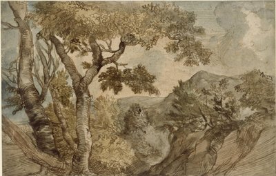 Paisaje montañoso con grupo de árboles de Jan Lievens