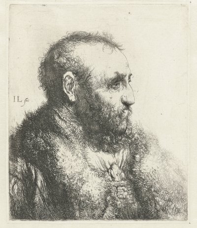 Busto de anciano con abrigo de piel de Jan Lievens