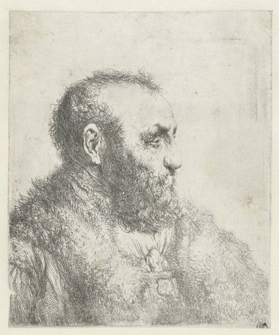 Busto de anciano con abrigo de piel de Jan Lievens