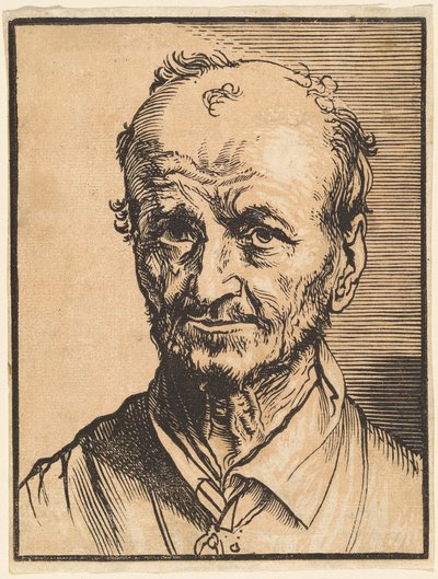 Busto de un hombre calvo de Jan Lievens