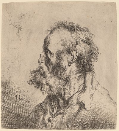 Busto de un anciano con barba de Jan Lievens