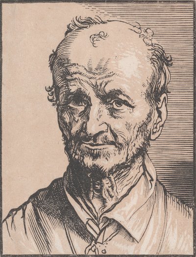 Busto de un hombre, siglo XVII de Jan Lievens