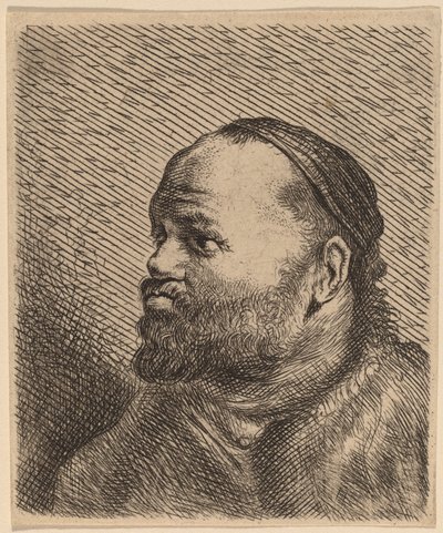 Busto de un hombre con labios gruesos de Jan Lievens