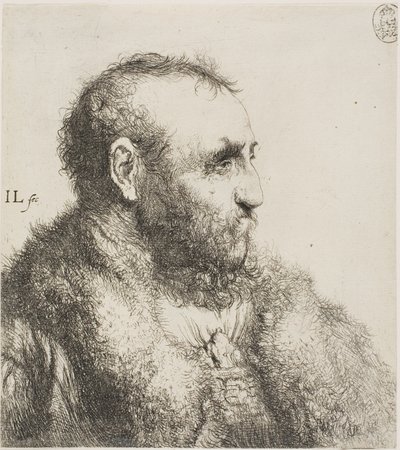 Busto de un Hombre Viejo de Jan Lievens