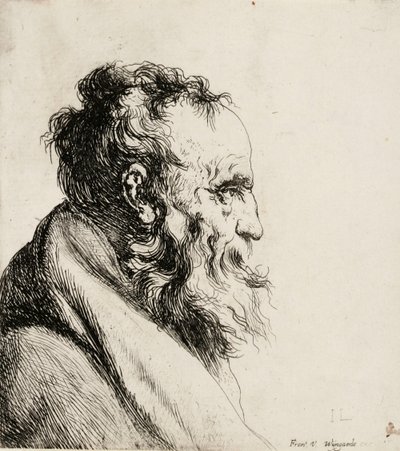  de Jan Lievens