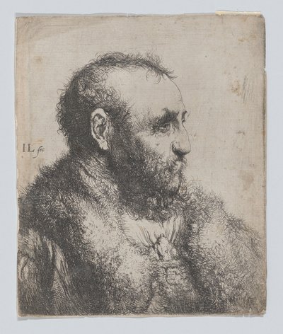 Busto de un anciano con cuello de piel de Jan Lievens