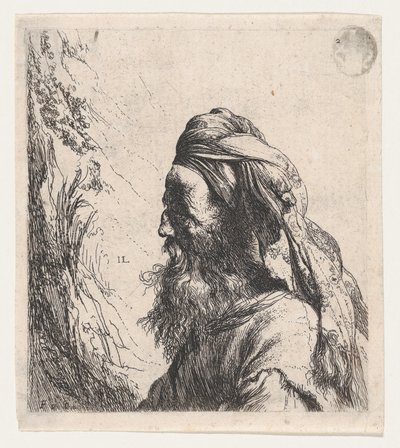 Hombre con turbante mirando hacia la izquierda de Jan Lievens