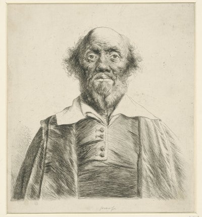 Retrato de un anciano de Jan Lievens