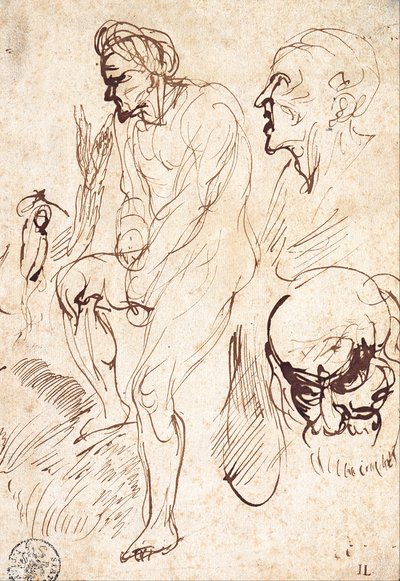 Estudios posteriores al Modelo de Jan Lievens