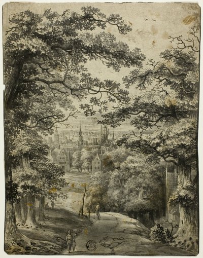 Vista de la ciudad desde la carretera de la colina de Jan Looten