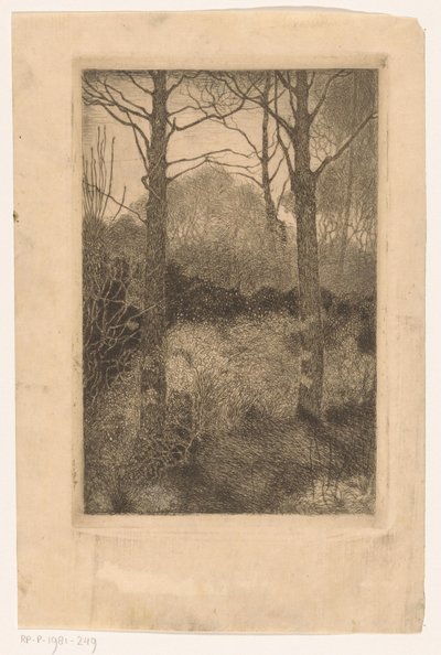 Bosrand de Jan Mankes