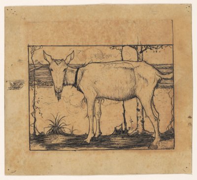 Cabra al lado de la zanja de Jan Mankes