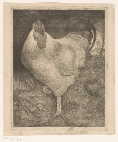Gallo en una pata de Jan Mankes