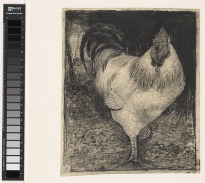 Gallo en una pata de Jan Mankes