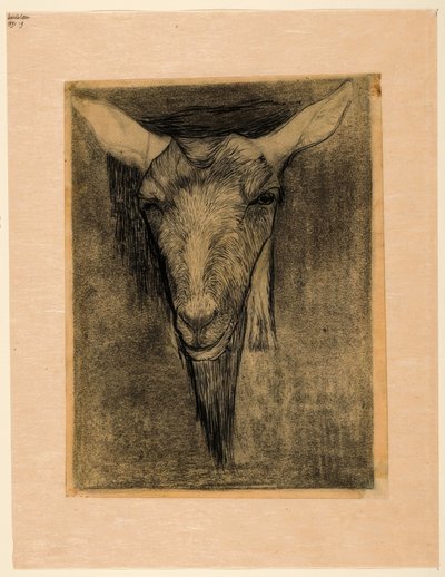 Cabeza de una cabra de Jan Mankes