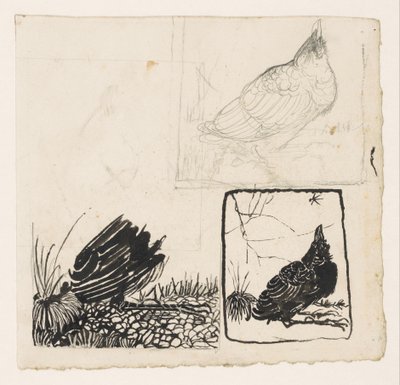 El cuervo, mirando al mosquito de Jan Mankes