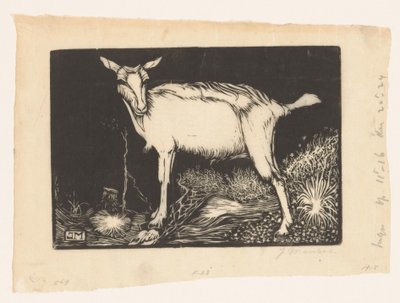 Cabra blanca de Jan Mankes