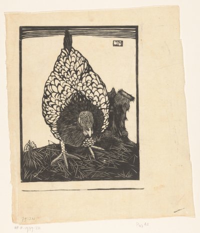 Silverwyandotte de Jan Mankes