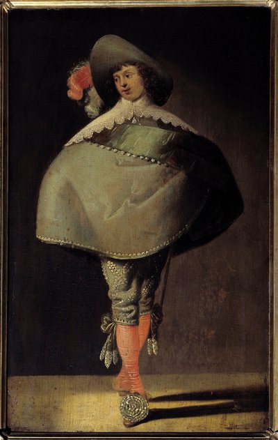 Un joven caballero de Jan Martszen de Jonge