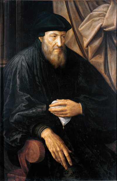 Retrato de un anciano (probablemente Andrea Doria) de Jan Massys or Metsys