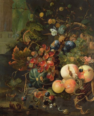 Naturaleza muerta de frutas e insectos de Jan Mortel