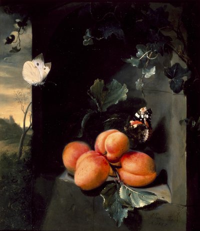 Naturaleza muerta con albaricoques y mariposas, 1683 de Jan Mortel